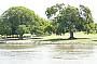 Pristine environment of the upper reaches of the Brisbane River